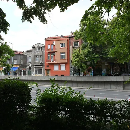 Center Big Family With Garden View