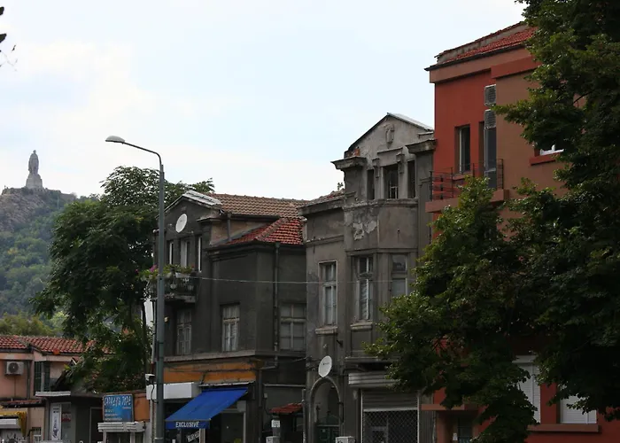 Center Big Family With Garden View *