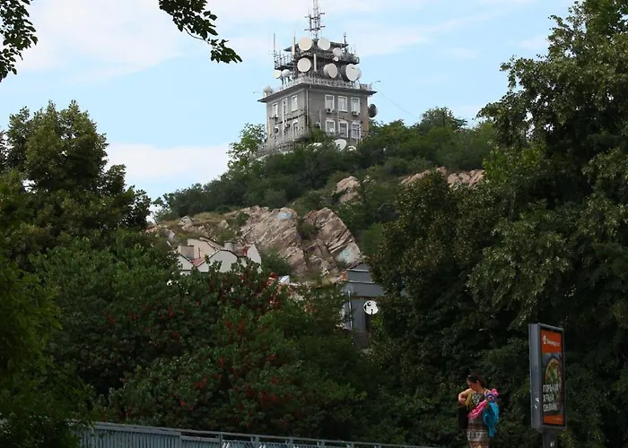 Center Big Family With Garden View
