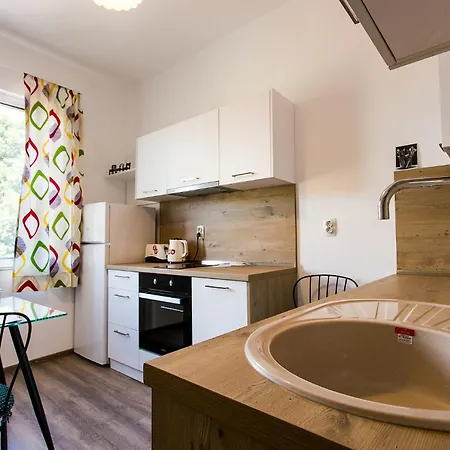 Center Big Family With Garden View