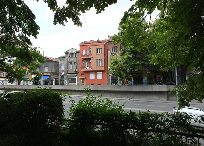 Center Big Family With Garden View